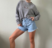 Load image into Gallery viewer, Vintage Graphic Pullover